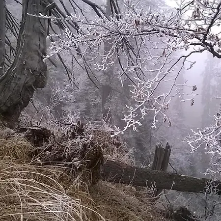Grosse Fewo Im Alpen-landhaus Zwischen See, Berg Und Bach * Kiefersfelden